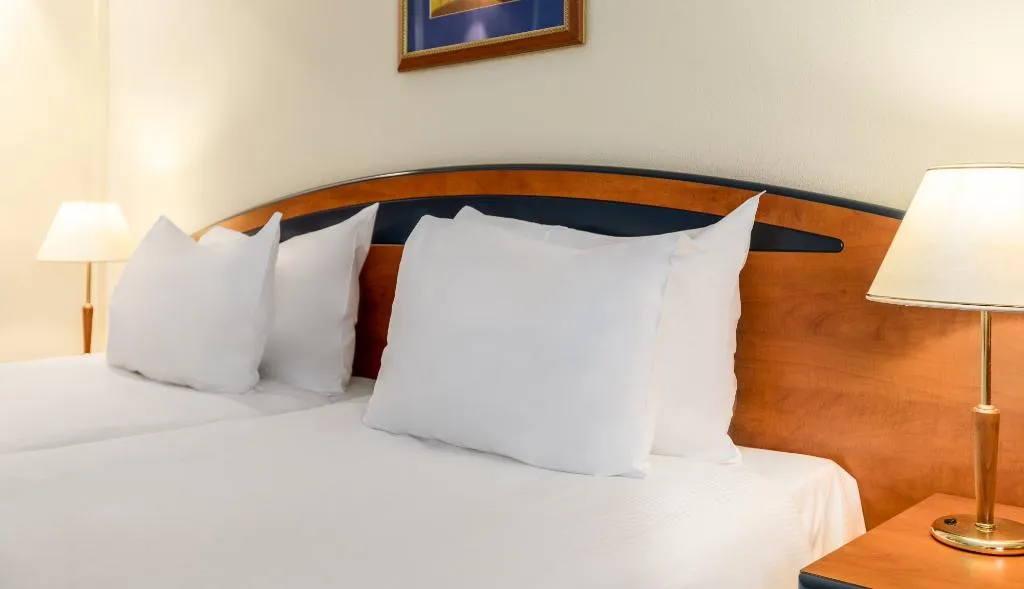 DOUBLE SINGLE USE WITHOUT BALCONY Room, Nh Naarden, Amsterdam