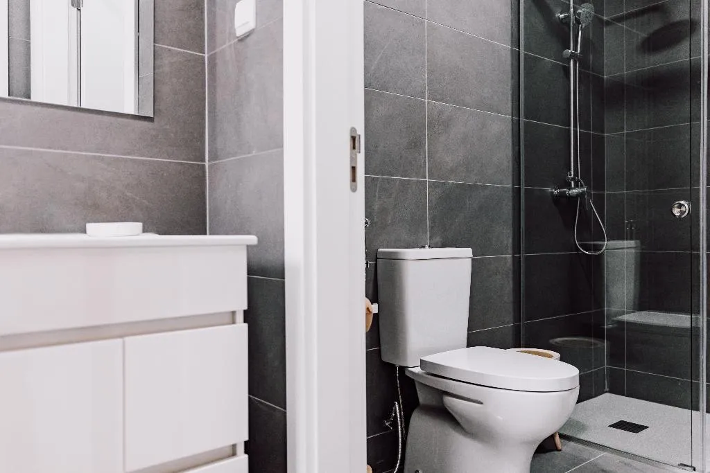 DOUBLE DELUXE Room, Quinta Dos Sinçais, Porto