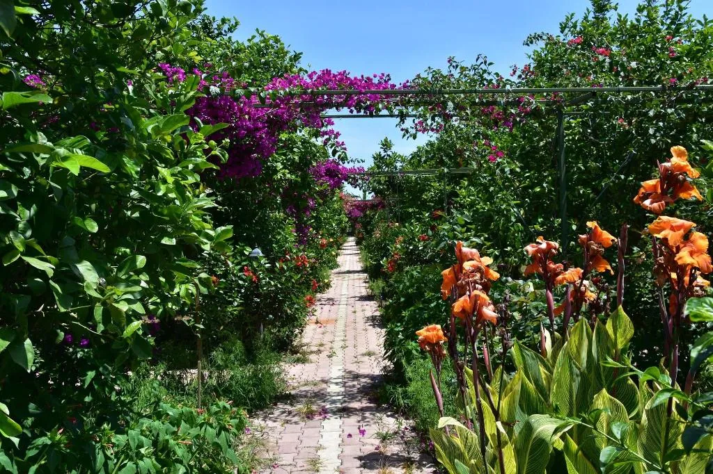 General view, Lemon Garden Lodge, Antalya