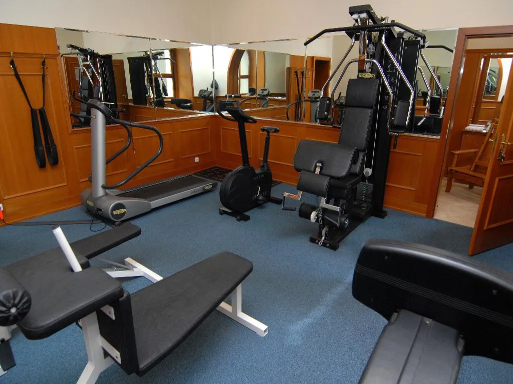 Sports and Entertainment, Hotel Opera Prague, Prague
