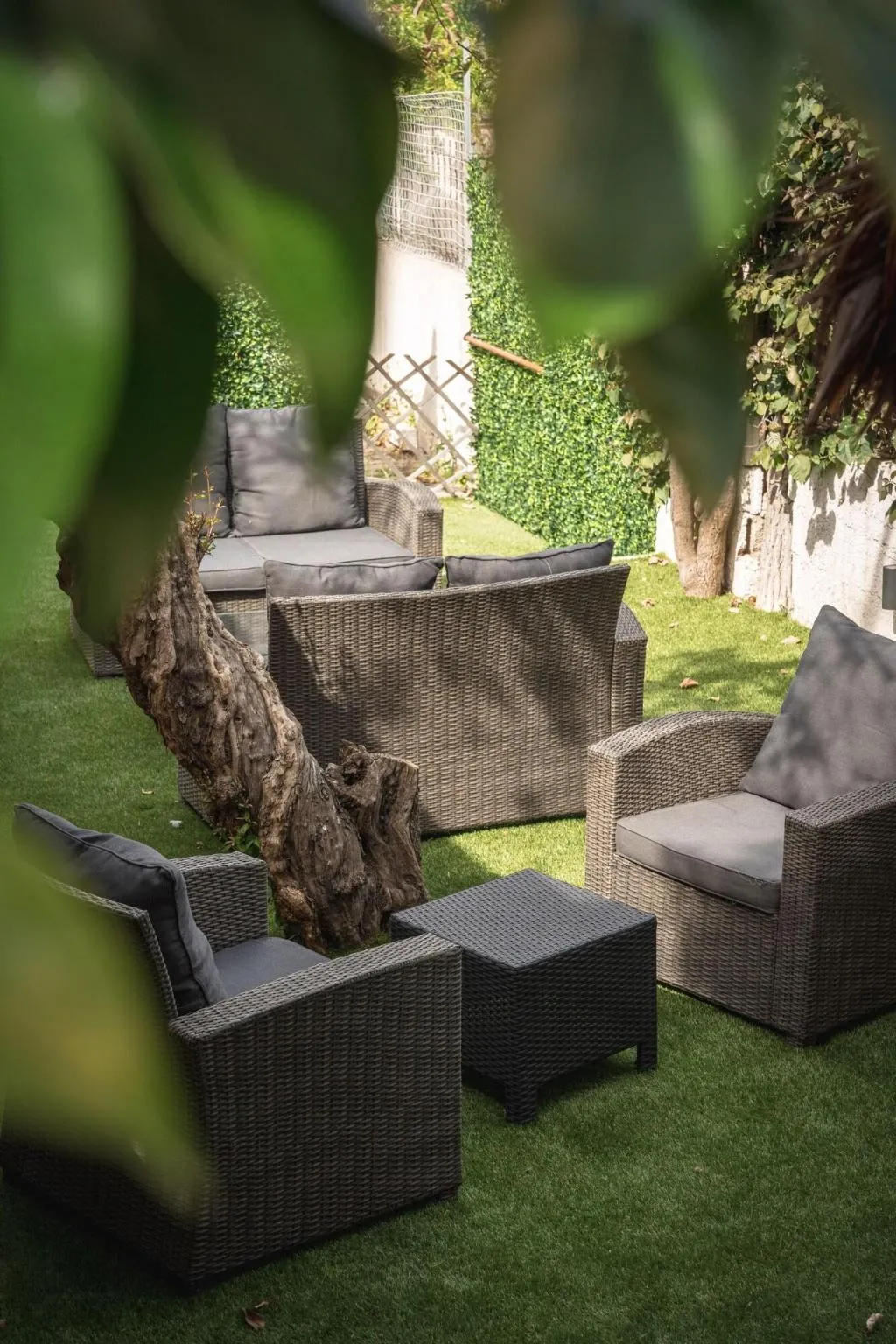 Terrace, Domomea, Alghero