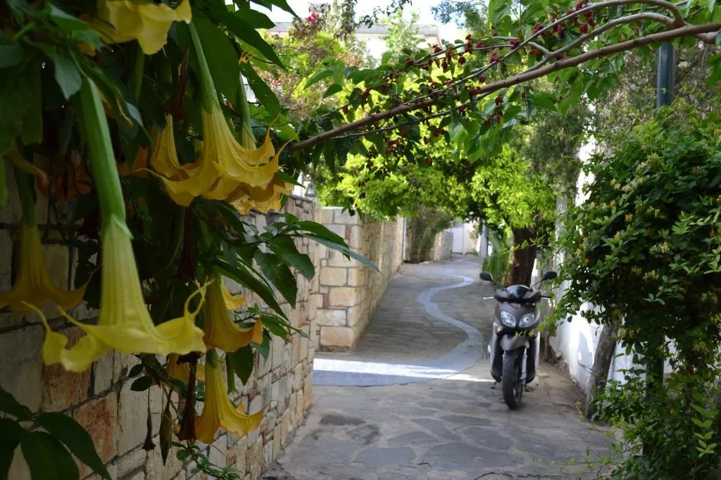 General view, Su Hotel, Bodrum