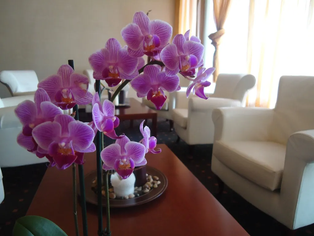 Lobby, Moon Palace Hotel, Milan
