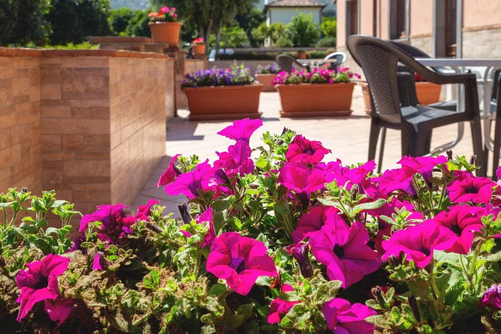 Terrace, La Terra Dei Sogni Country Hotel, Catania
