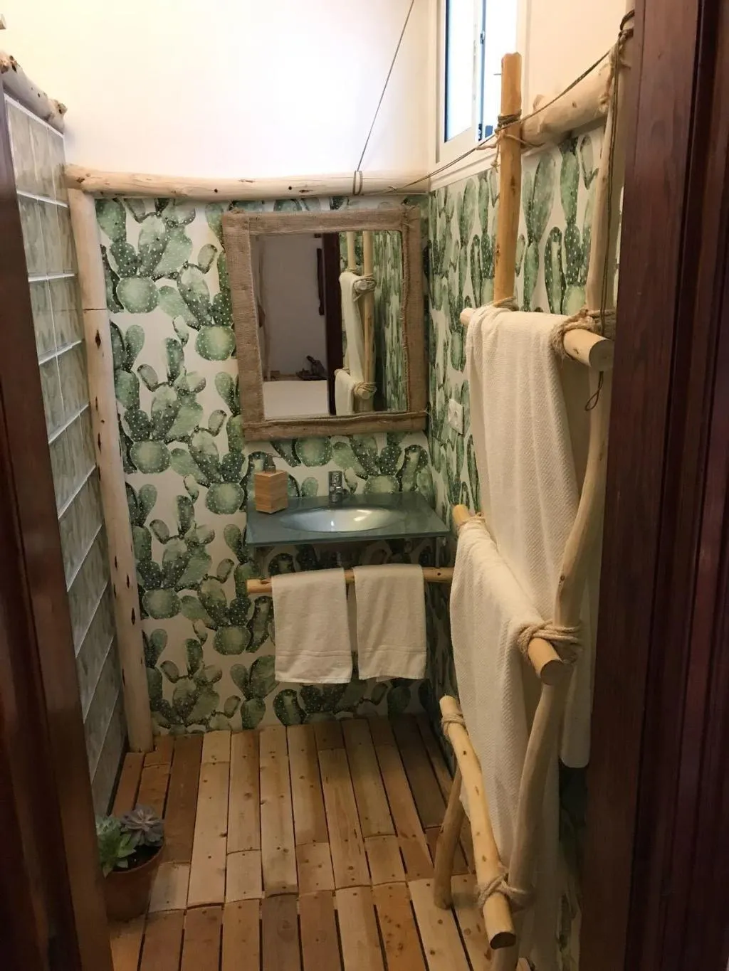 Room, Cactus Host, Gran Canaria