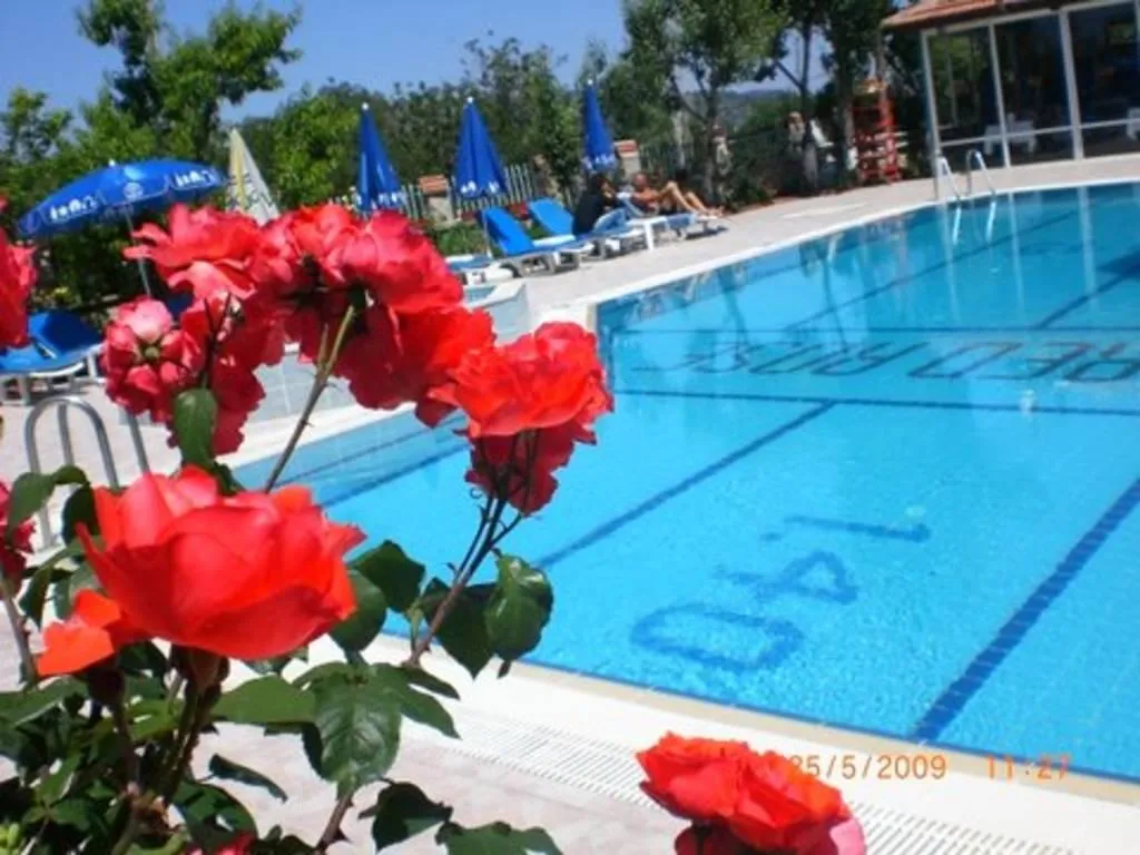 Pool, Red Rose Hotel, Dalaman