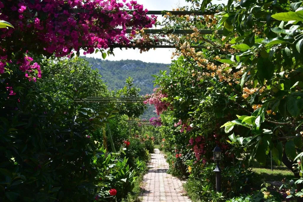 General view, Lemon Garden Lodge, Antalya