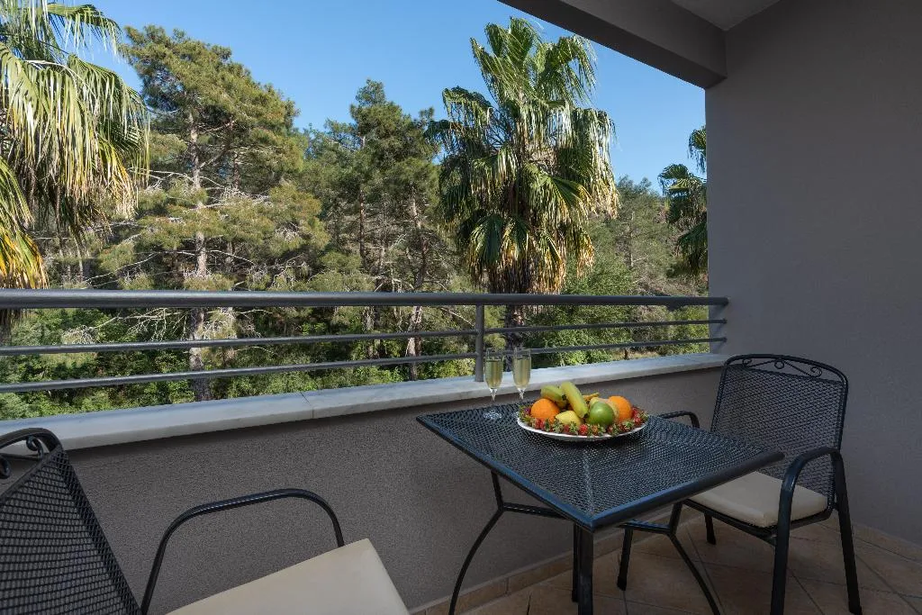 DOUBLE STANDARD Room, Grand Viking, Antalya