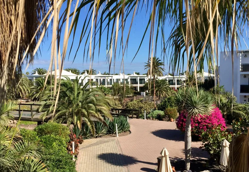 Terrace, Las Marismas de Corralejo, Fuerteventura