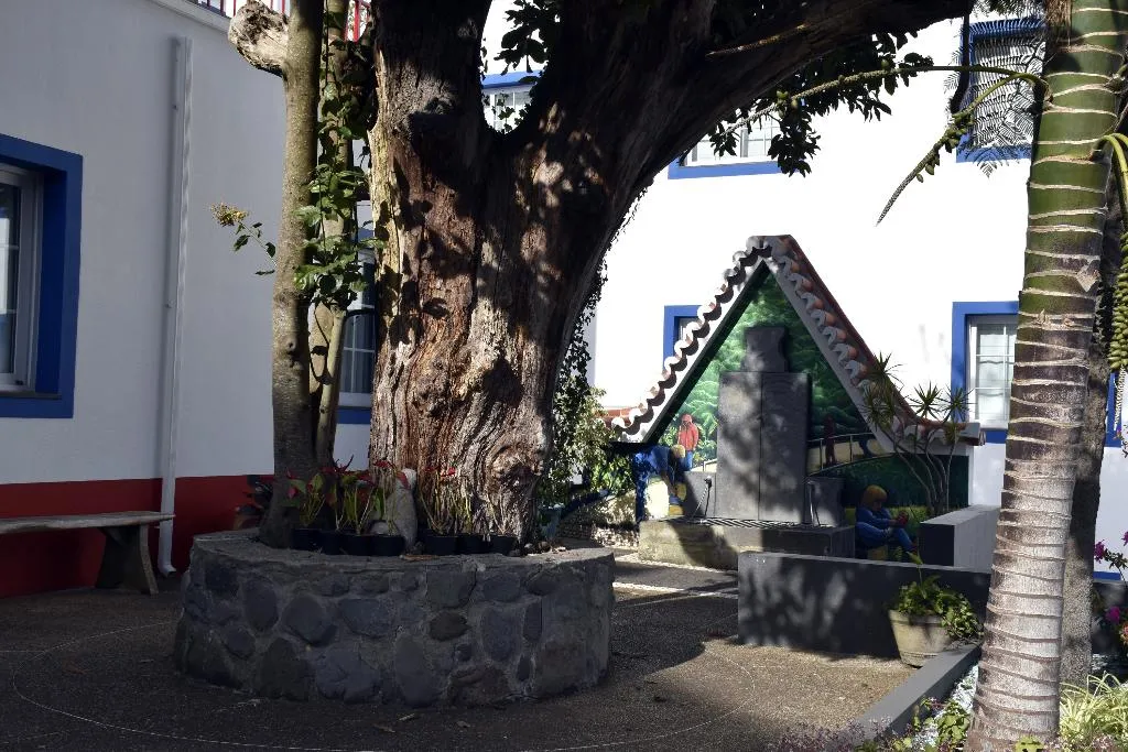 General view, O Colmo, Madeira