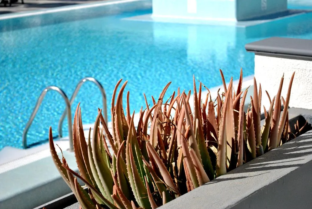 Pool, Mariposa del Sol, Gran Canaria