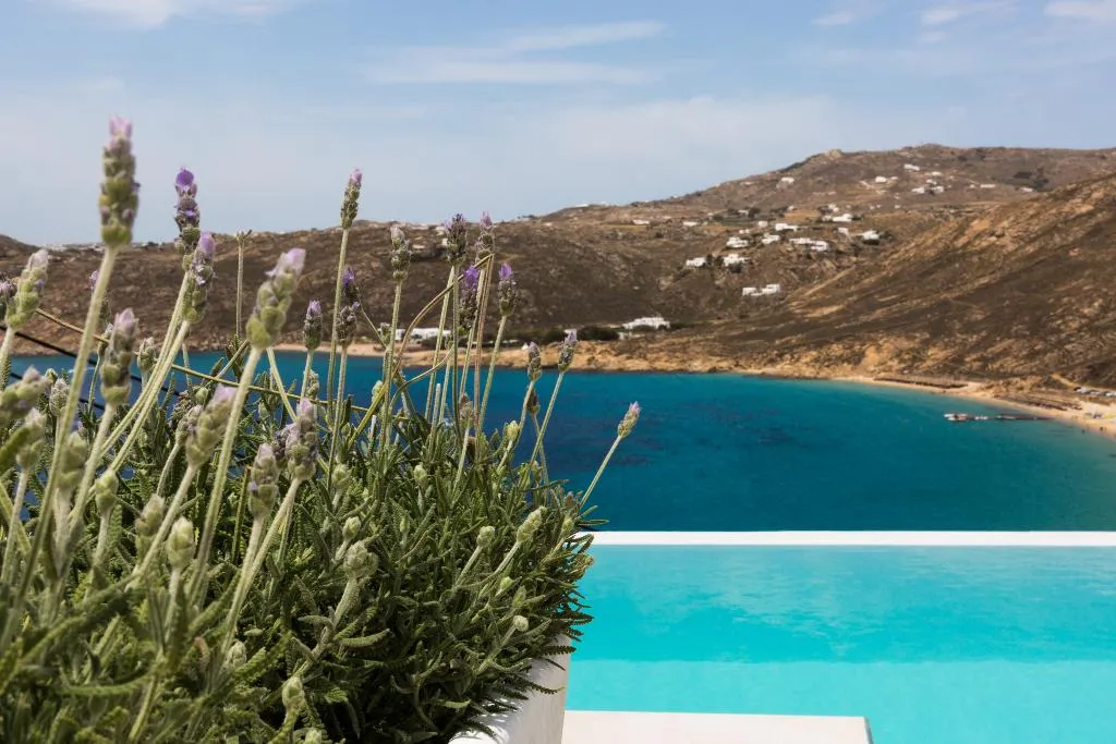 VILLA DELUXE THREE BEDROOM Room, Greco Philia Elia Mykonos, Halkidiki