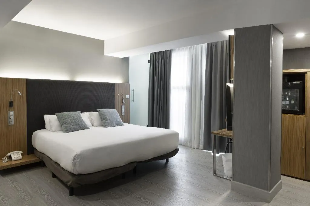 DOUBLE STANDARD Room, Petit Palace Alcala, Madrid