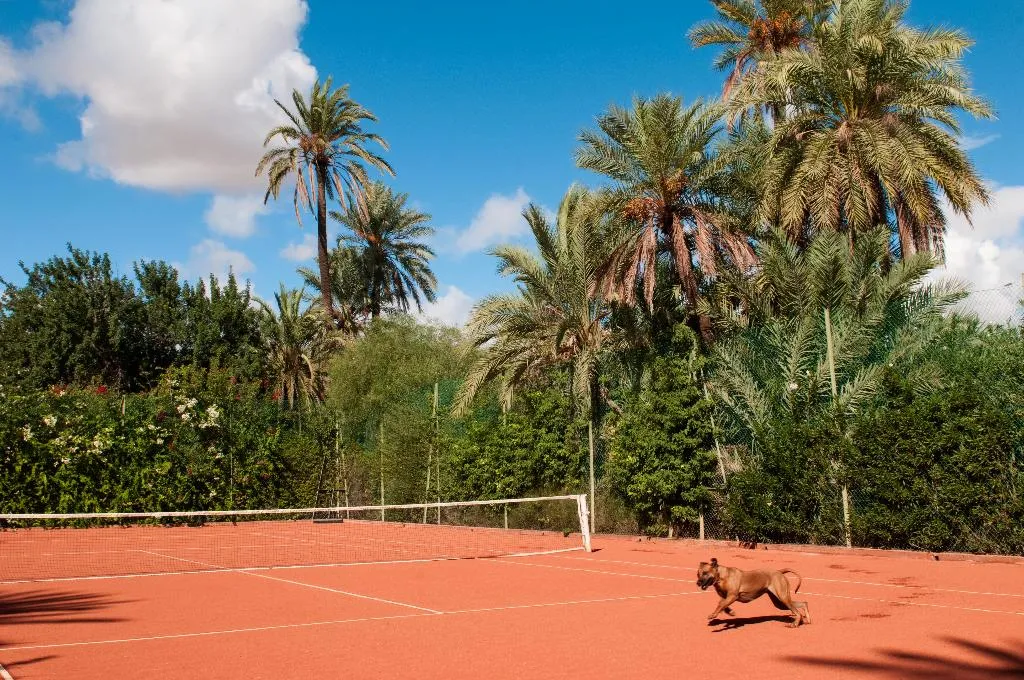 Sports and Entertainment, Jnane Tamsna, Marrakech