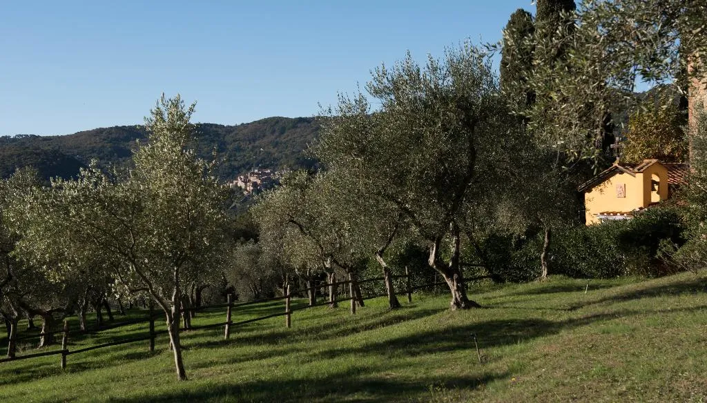 Terrace, Borgo Tenuta La Bandita, Florence