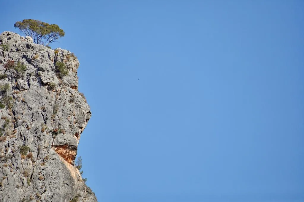General view, Agroturismo Alquería Blanca, Majorca