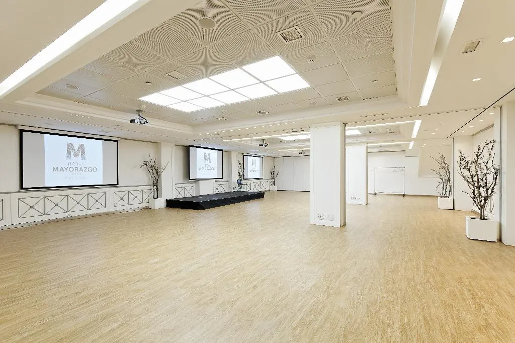 Conferences, Grupotel Mayorazgo, Madrid