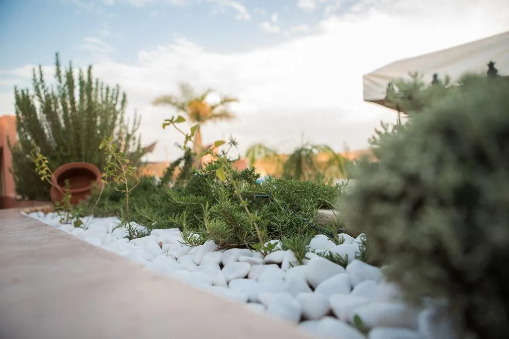 Terrace, Riad Villa Harmonie, Marrakech
