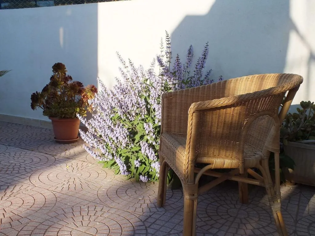 Terrace, B&B Villa Giacrì, Palermo