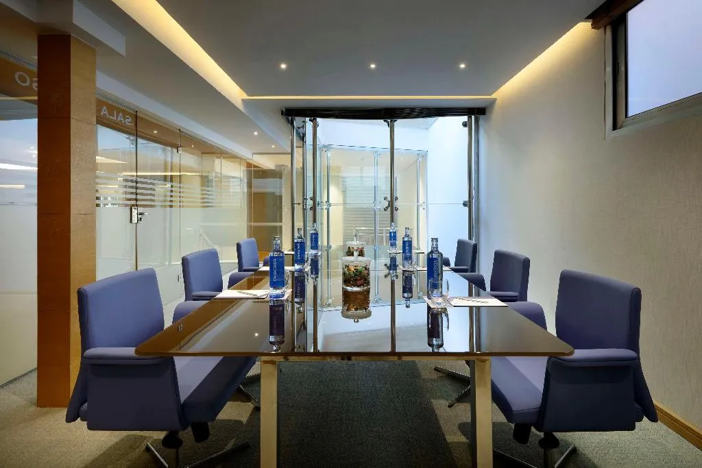 Conferences, Hyatt Regency Hesperia Madrid, Madrid