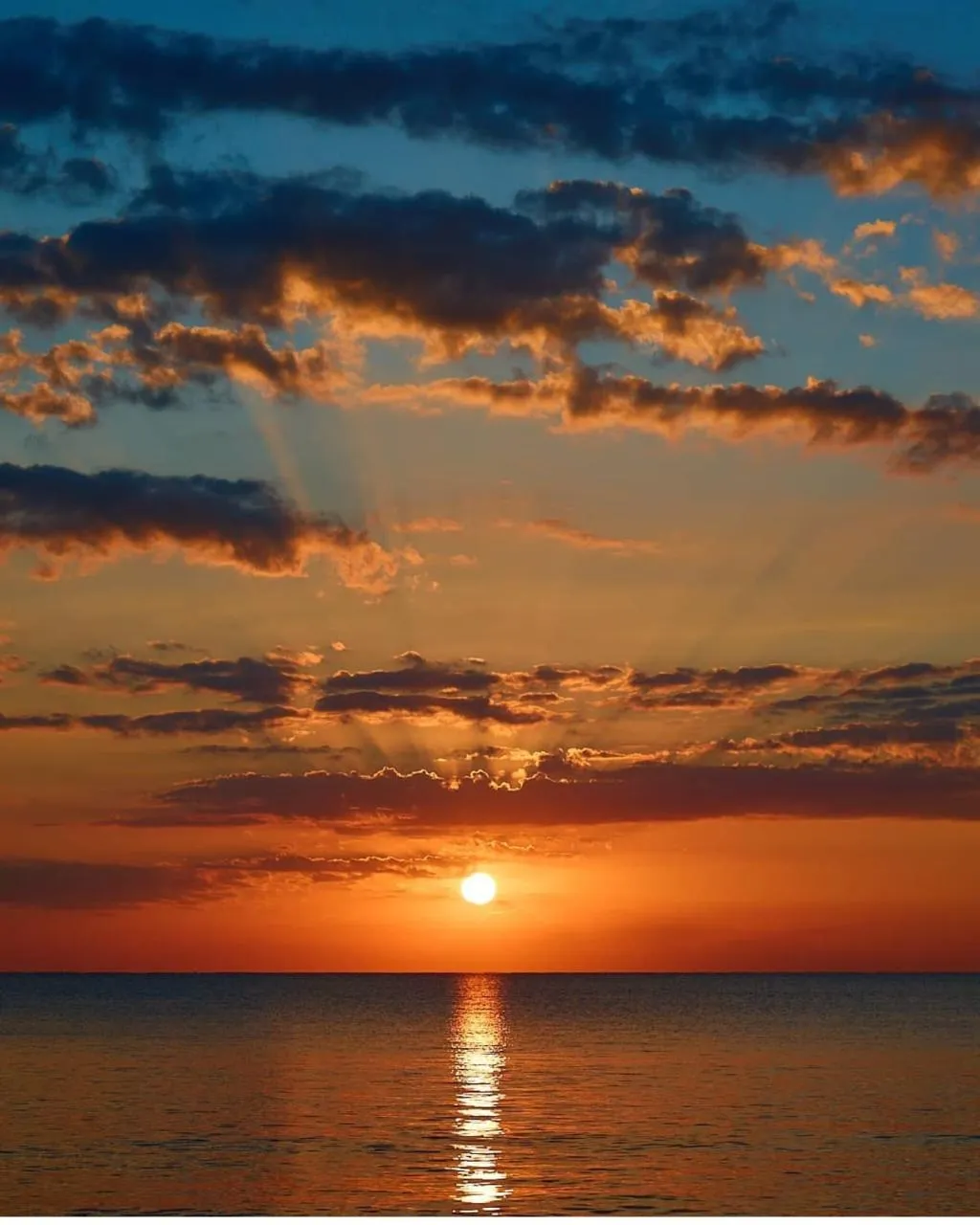 Beach, The Ciao Stelio Deluxe Hotel, Cyprus