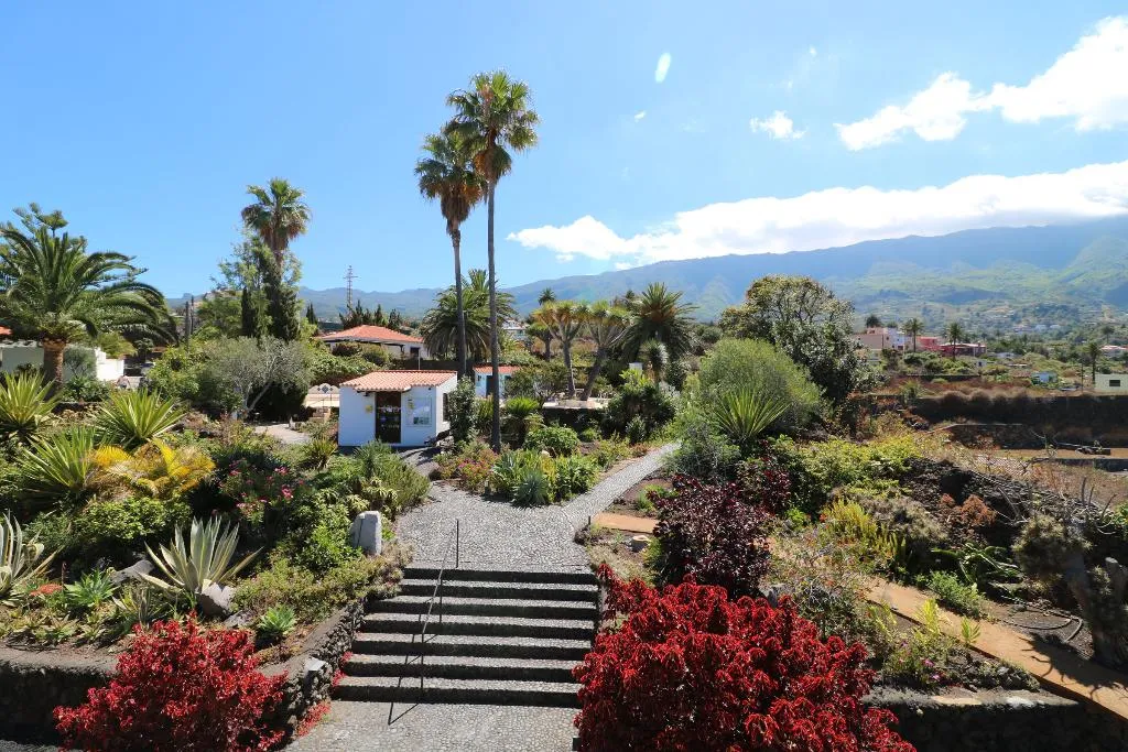 Lobby, Apartamentos Miranda, La Palma