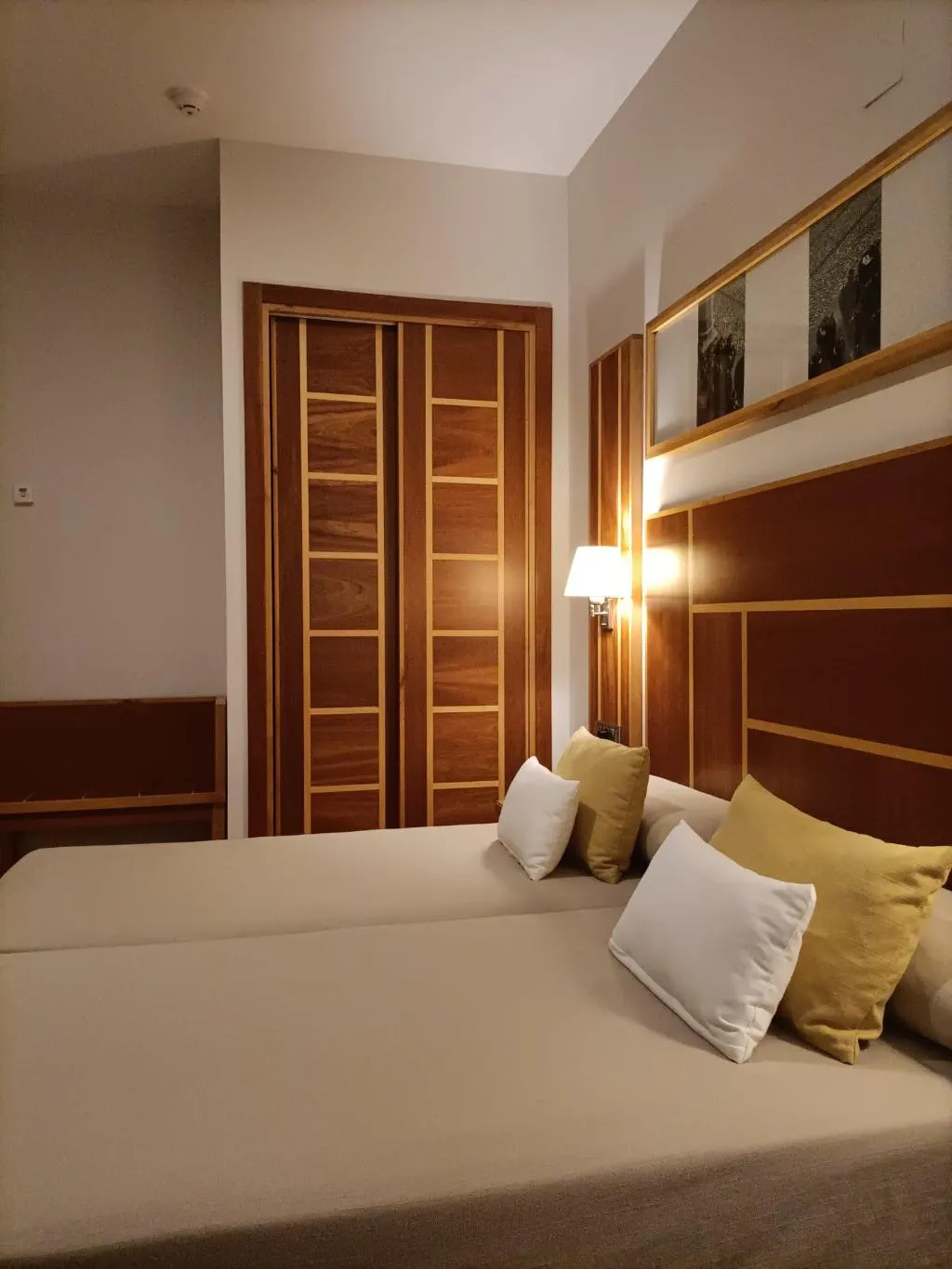 DOUBLE SINGLE USE STANDARD Room, Hotel Carmen, Costa Del Sol