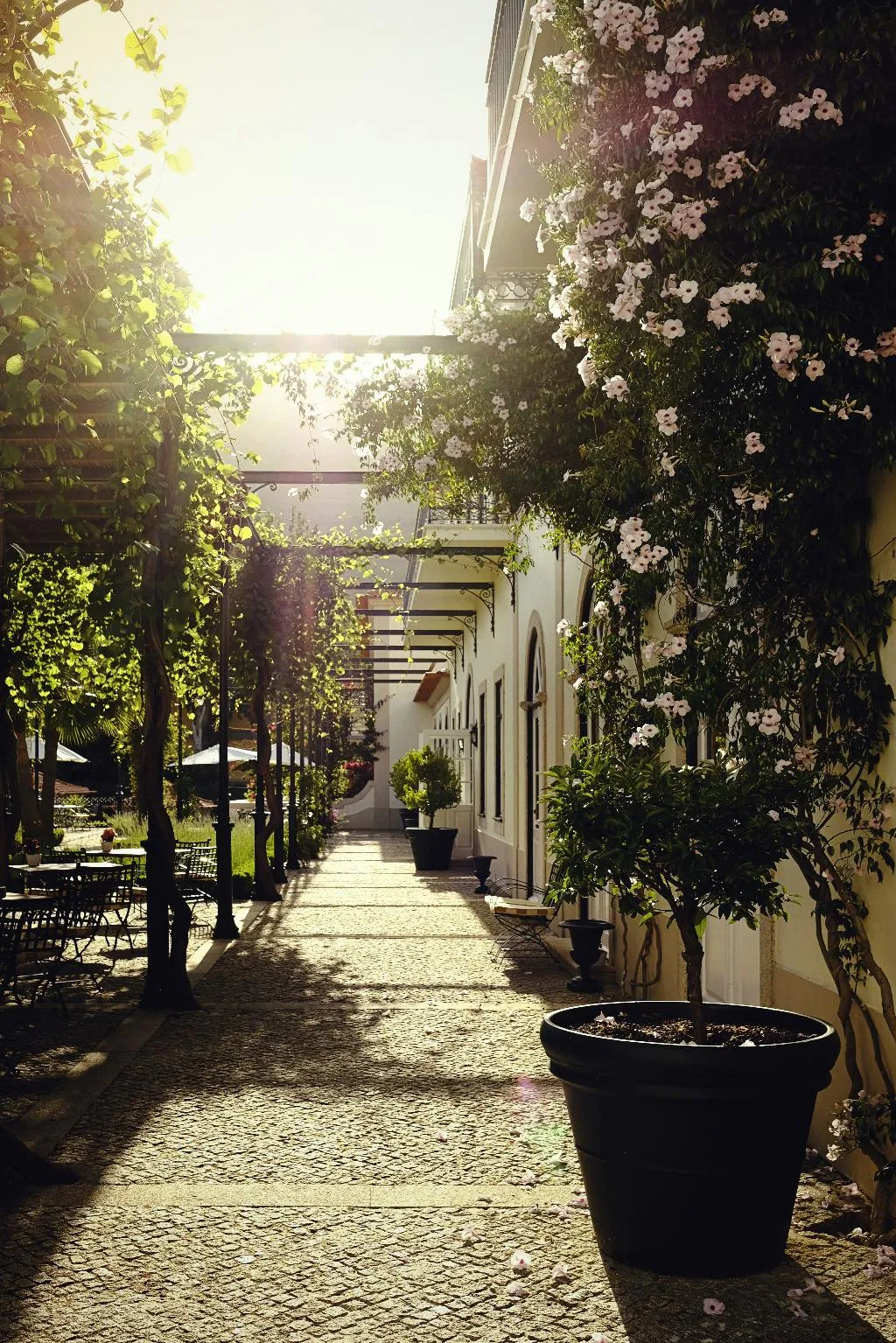 Terrace, The Vintage House - Douro, Porto