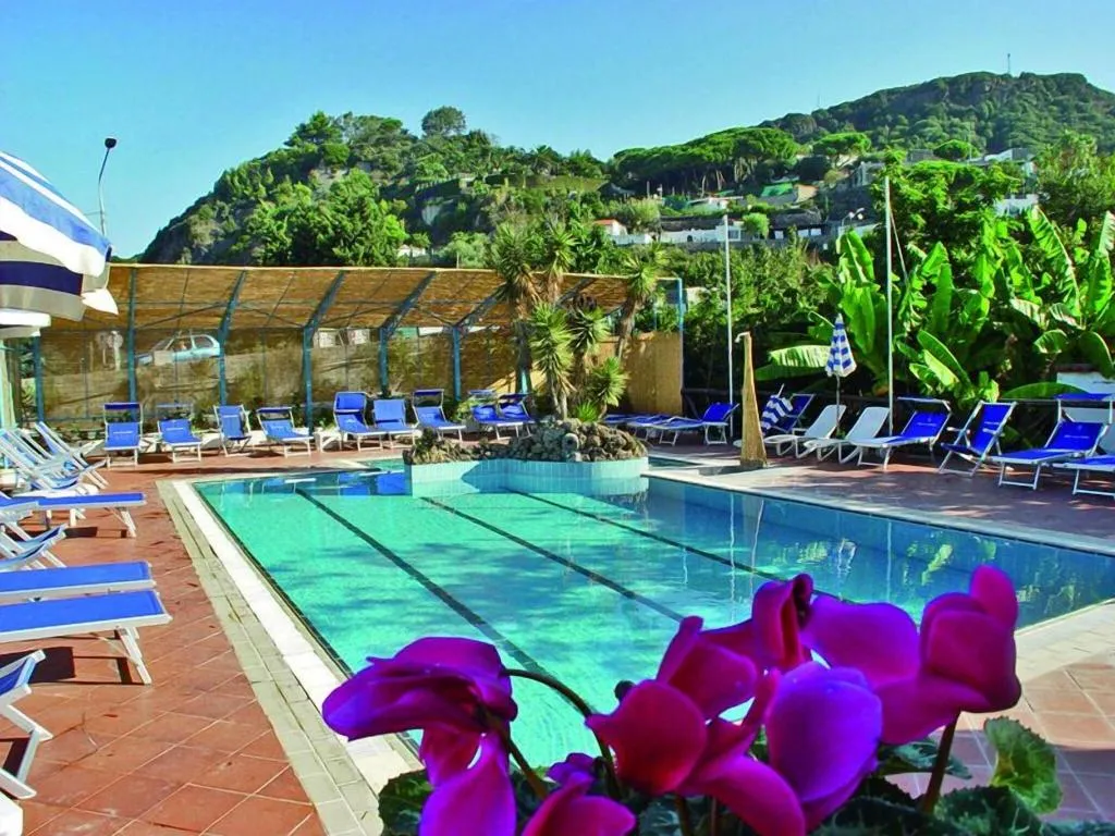 Pool, Hotel Villa Franca, Naples