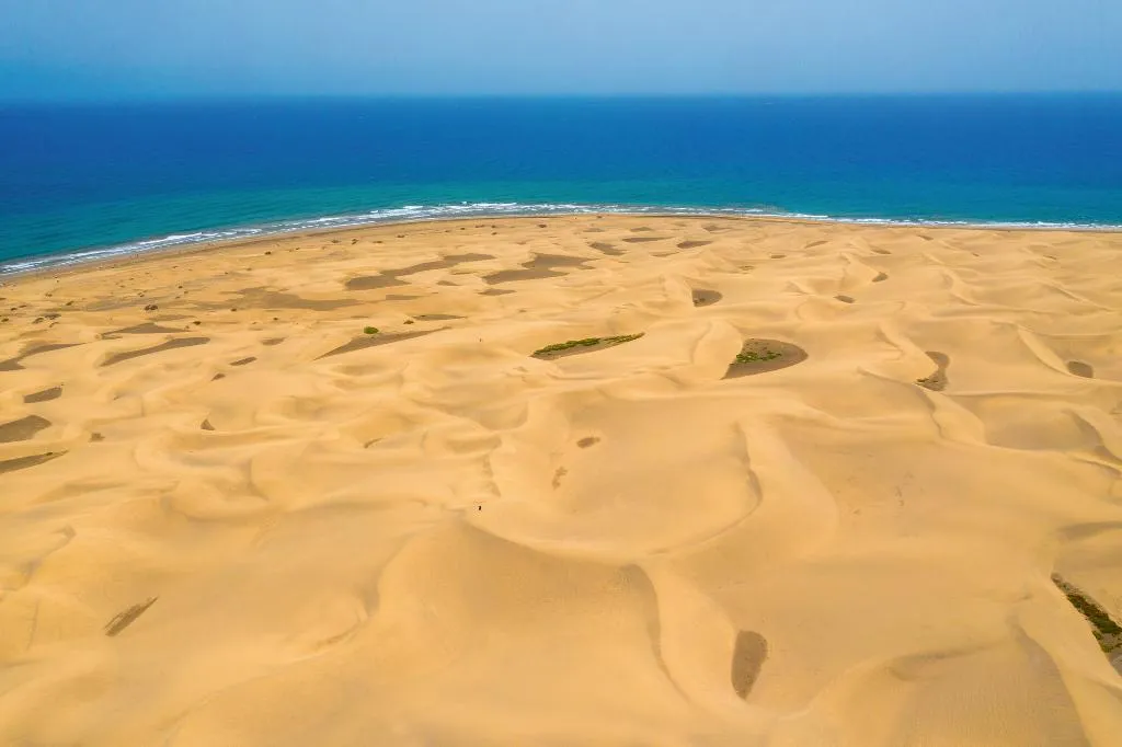 Beach, Hotel Riu Palace Maspalomas - Adults Only, Gran Canaria
