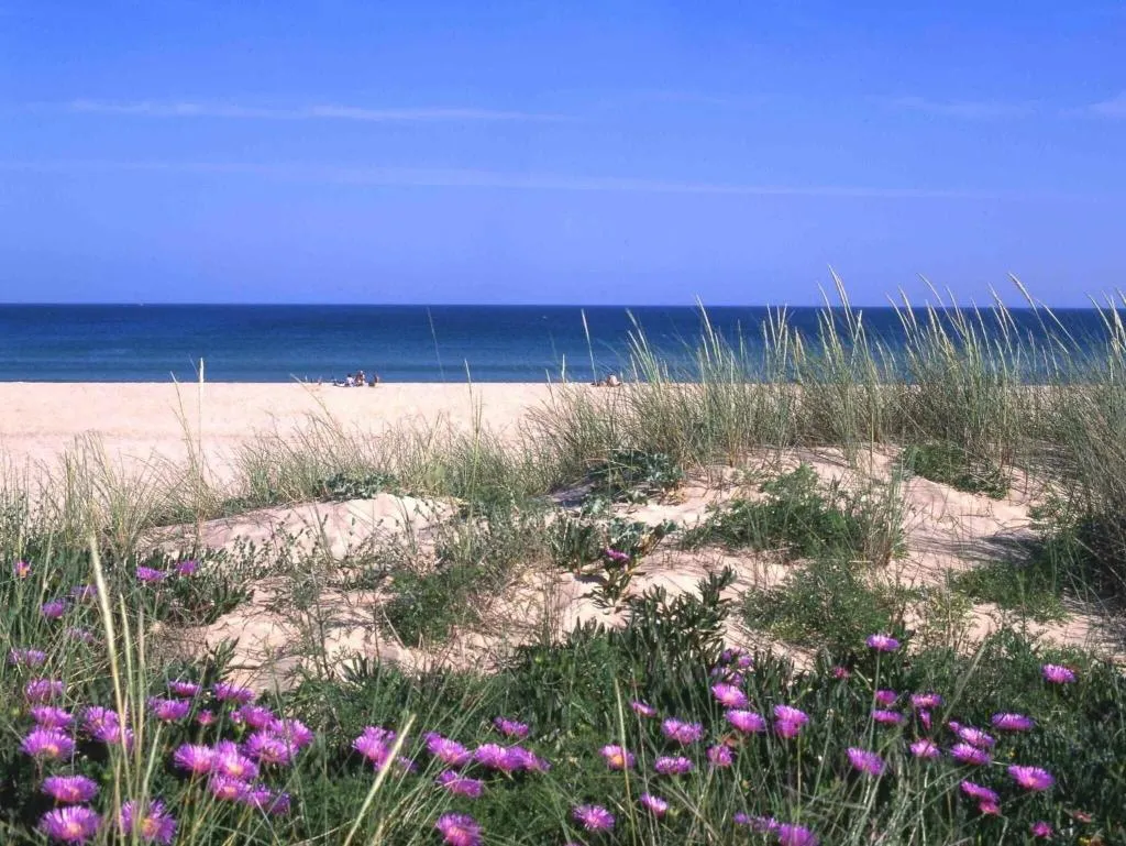 Beach, Lagosmar, Algarve