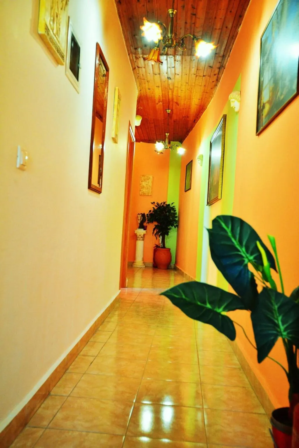 Sports and Entertainment, Olympos Pension, Rhodes