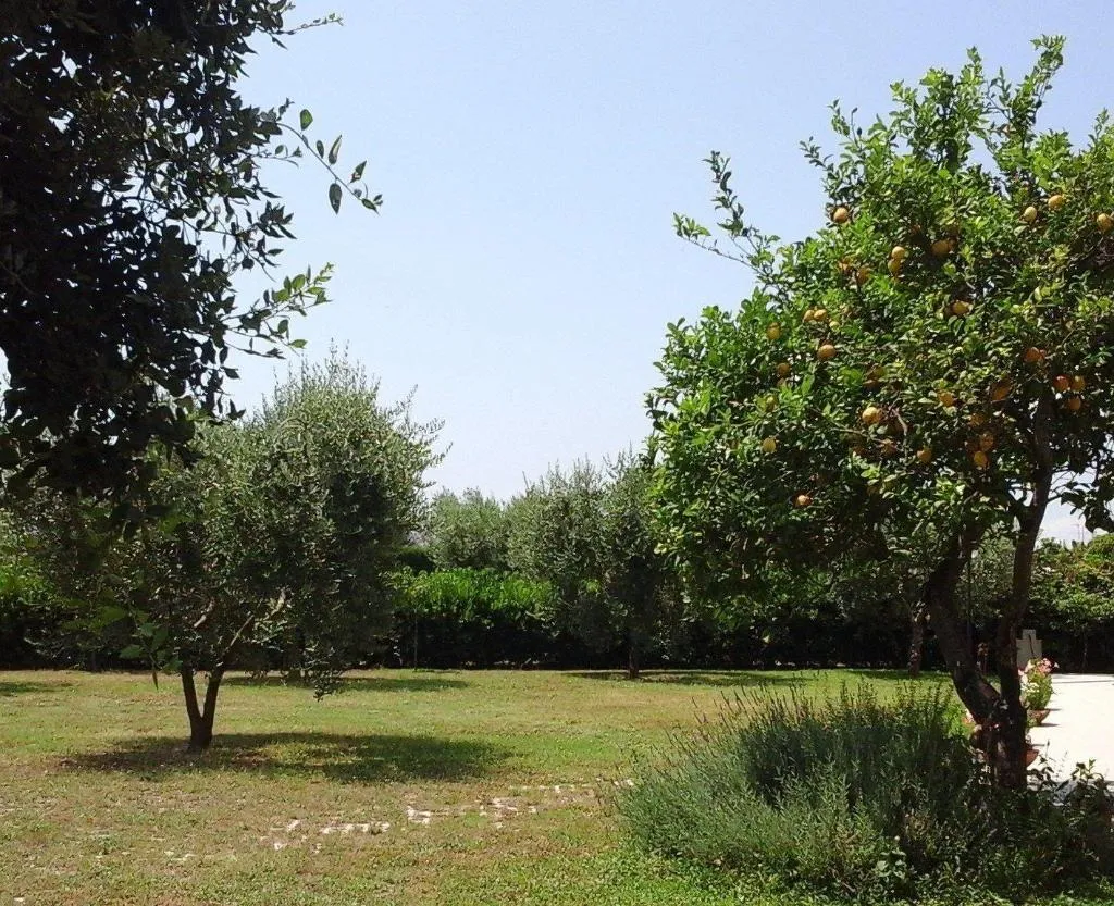 General view, B&B o'Chalet, Naples