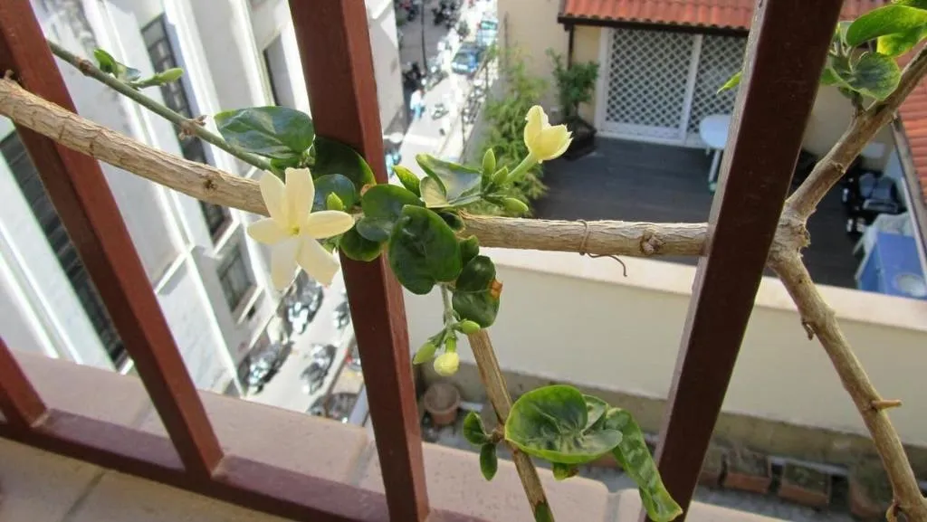 Room, International Naples, Naples