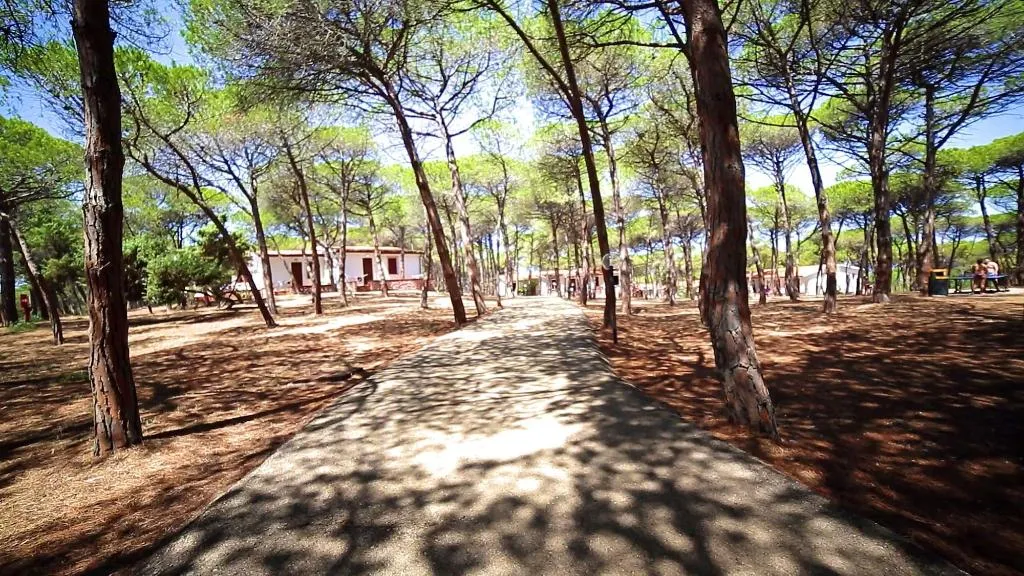 General view, Villaggio Dei Pini, Cagliari