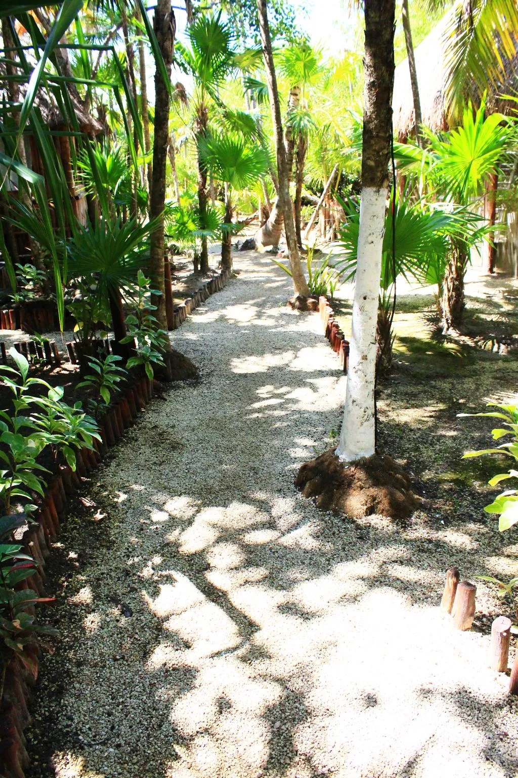 General view, Maya Cabañas and Cenote Tulum, Cancun Area