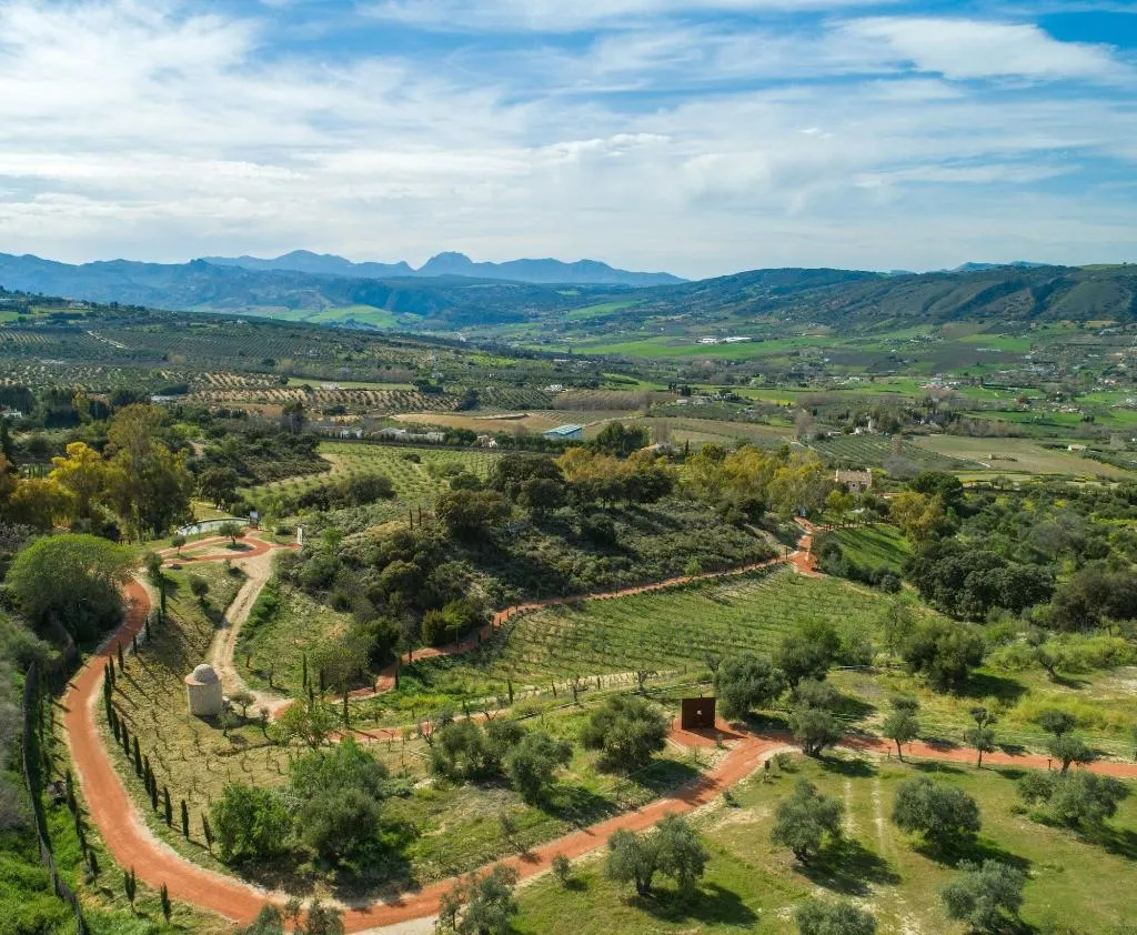 Sports and Entertainment, Cortijo La Organic, Costa Del Sol