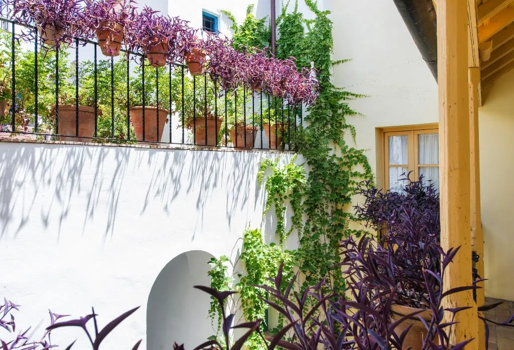 Terrace, Casas de la Juderia, Seville
