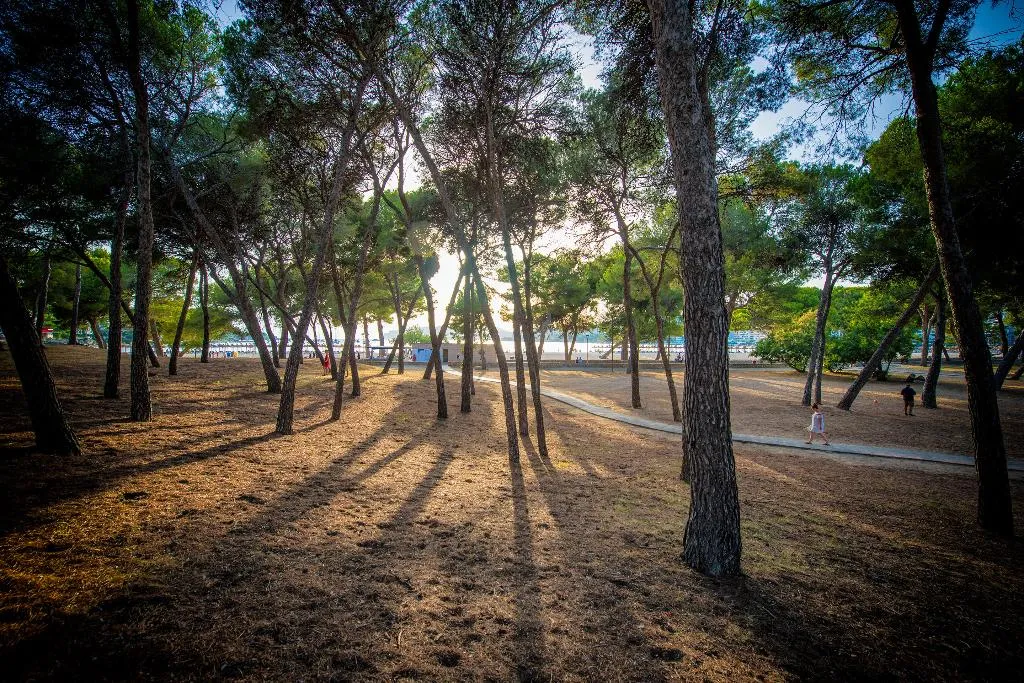 Beach, Flip Flop Surfing Playa Apartments, Majorca
