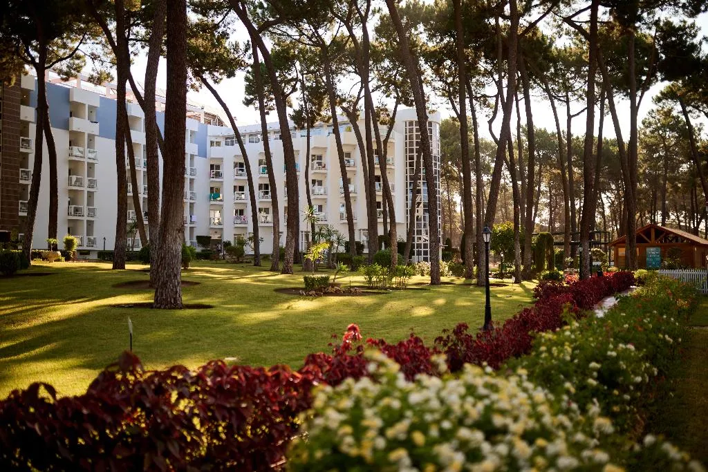 Terrace, AluaSun Marbella Park, Costa Del Sol
