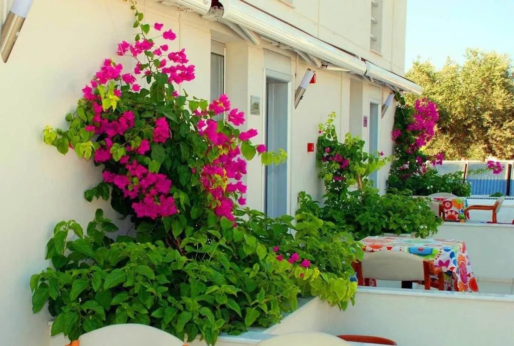 General view, Vela Garden Resort, Izmir