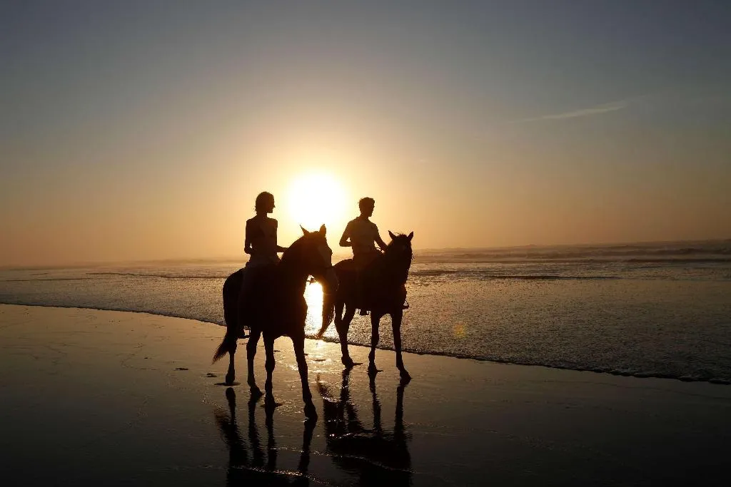 Sports and Entertainment, Mazagan Beach & Golf Resort, Casablanca