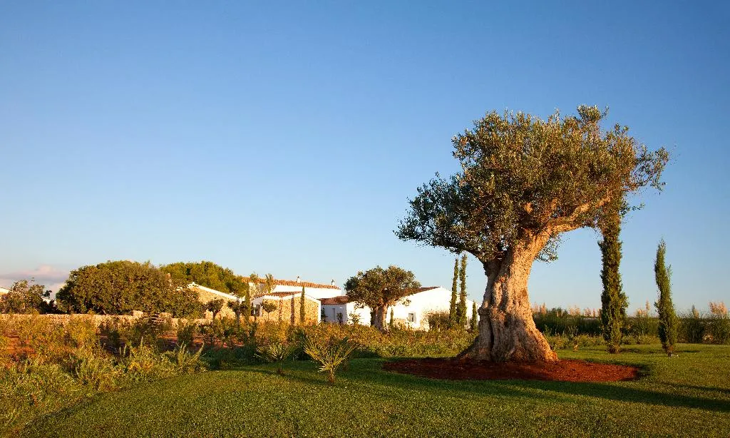 General view, Torralbenc, Menorca