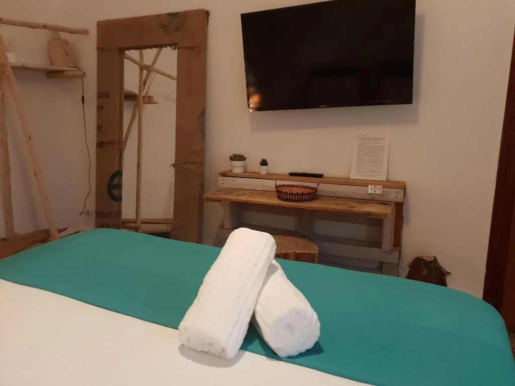 Room, Cactus Host, Gran Canaria