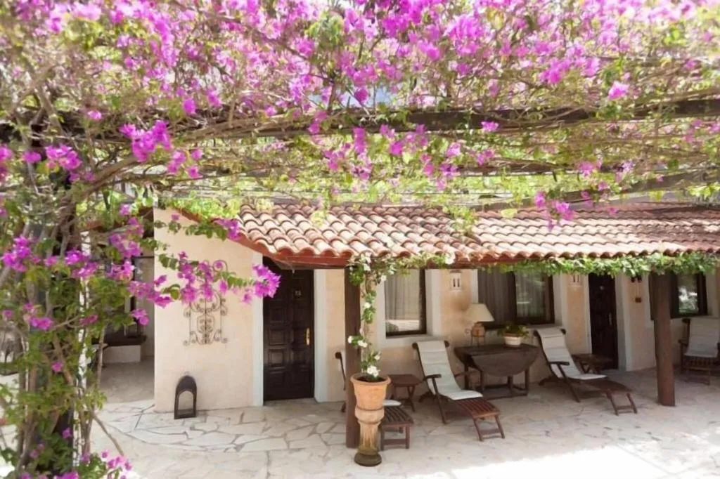 Terrace, Cas Pla, Ibiza