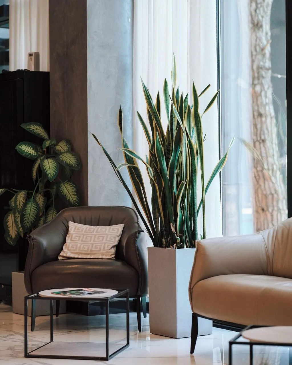 Lobby, Vm Resort Spa, Kavaje