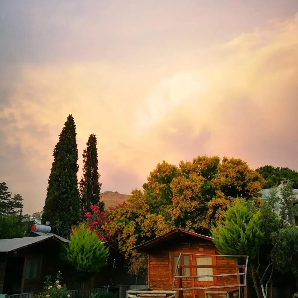 General view, Pitos Bungalows, Bodrum