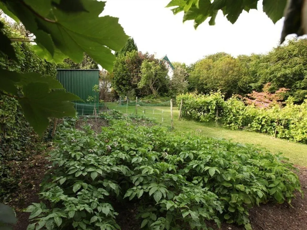General view, Robin Hill House, Cork