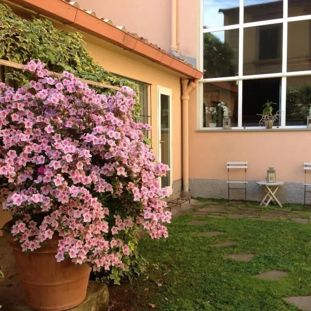 General view, B&B Casa Schlatter, Florence