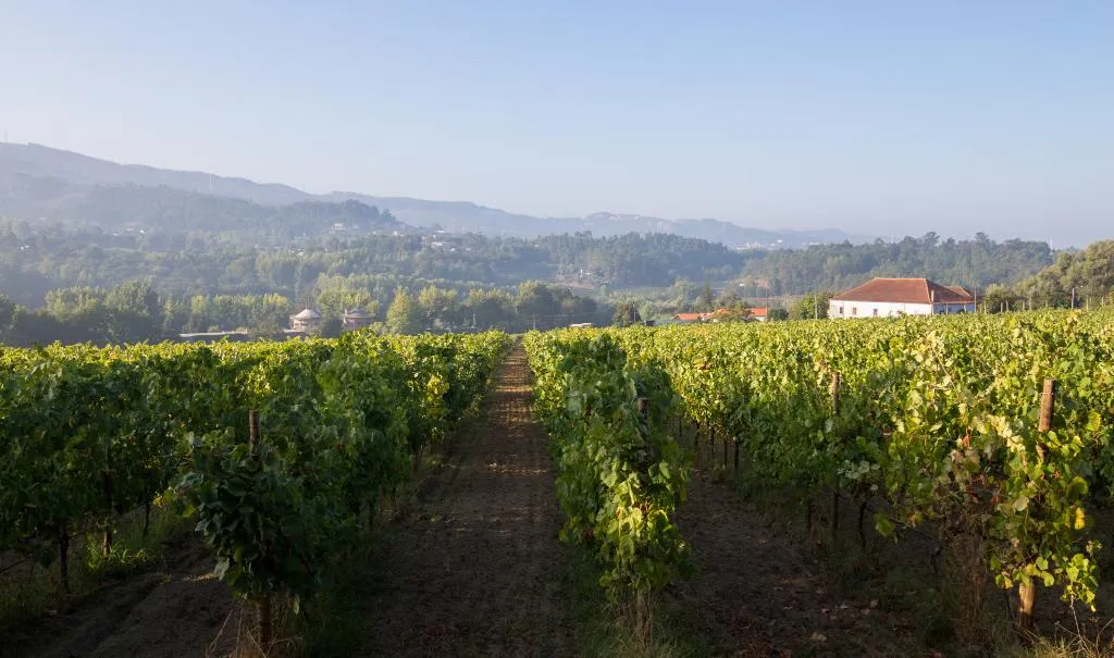 Sports and Entertainment, Casa Lata - Agroturismo E Enoturismo, Porto